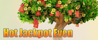 VIP များအတွက် အပတ်စဉ် ငွေပြန်အမ်းမှု promotion